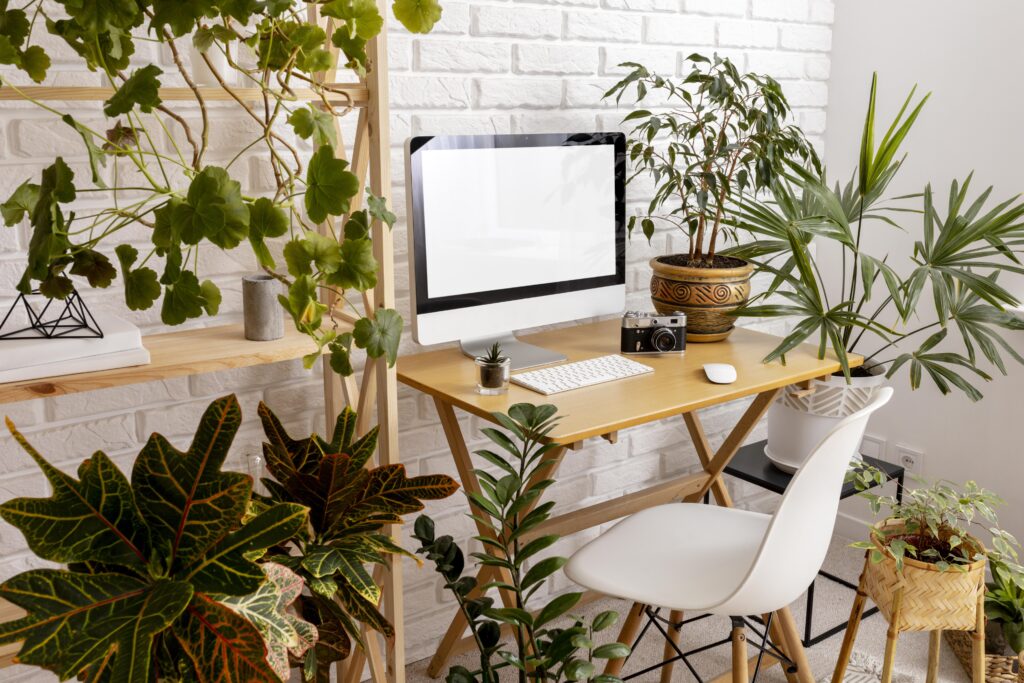 Créer un espace de bien-être au bureau avec des plantes vertes