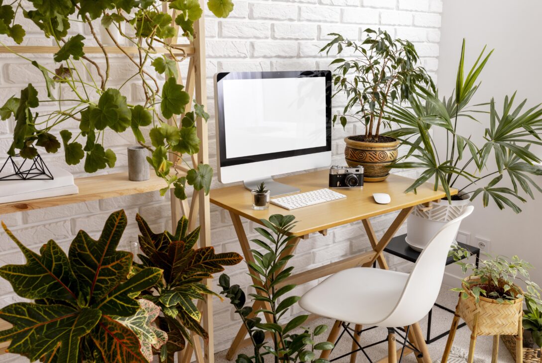 Créer un espace de bien-être au travail avec des plantes et de la lumière naturelle