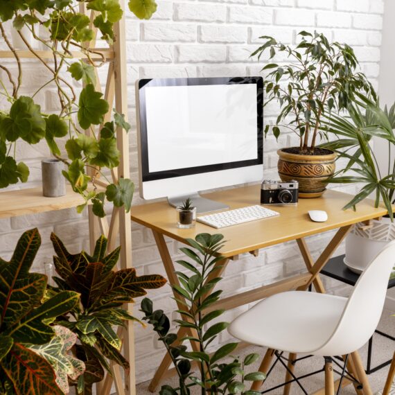 Créer un espace de bien-être au travail avec des plantes et de la lumière naturelle