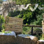 Arche de WellBeing Expérience