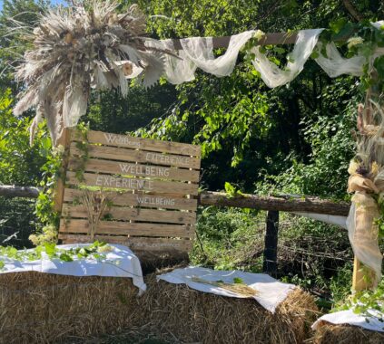 Arche de WellBeing Expérience